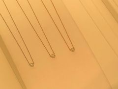 -Tiffany & Co.蒂芙尼
(广州太古汇店)