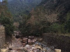 -花岩国家森林公园