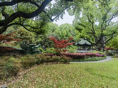-申粤轩酒楼·三十年粤菜经典(丁香花园店)