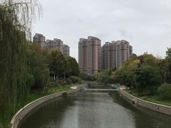 -四里河滨水生态公园