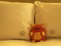 -惠州康帝国际酒店
