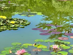 -国家植物园南园