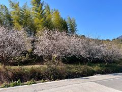 -鸡枕山