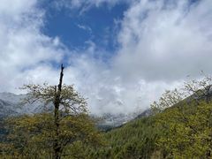 -硗碛藏寨·神木垒景区