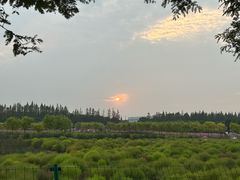 -嘉北郊野公园