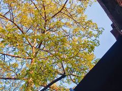 -烟桥古村