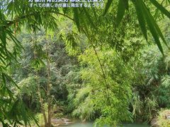 -龙窝子
