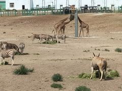 -新疆天山野生动物园