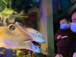 -恐龙探索乐园(磁器口店)