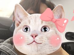 -招商银行(上海九亭支行)