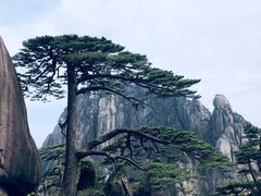 -黄山风景区