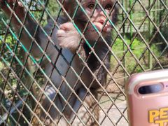 -藏龙百瀑风景区