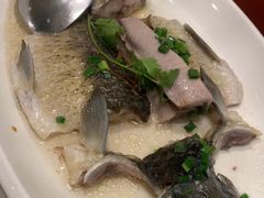 -顺意·顺德家乡菜(国际人才大厦店)