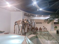-烟台自然博物馆