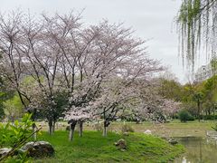 -堤角公园