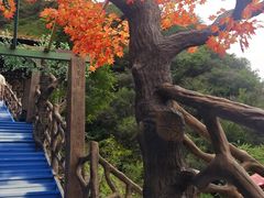 -野三坡刘家河高山漂流