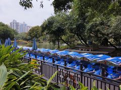-晓港公园