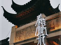 -秦淮小吃城(夫子庙店)