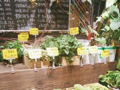 -70年代·江西乡下菜(松岗店)