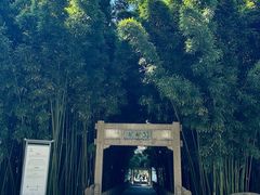 -采石矶景区