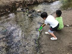 -白水寺森林公园