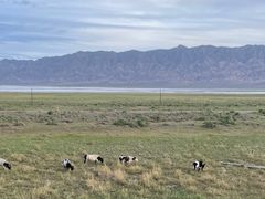 -青海湖国家重点风景名胜区