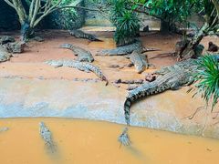 -海南热带野生动植物园
