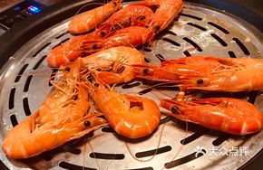 Mantis Shrimp (1 lb)