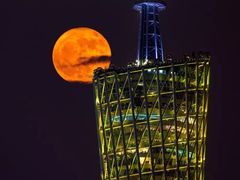 -珠江夜游广州塔·中大码头