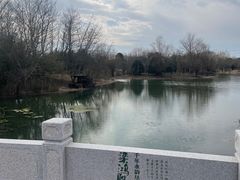 -梁鸿国家湿地公园