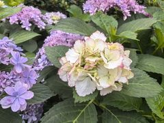 -常州古运河南大街文化旅游区-人民公园