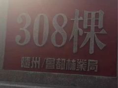 -千年银杏谷文化旅游区