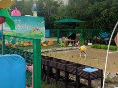 -季高兔窝窝亲子园(上海薰衣草公园店)