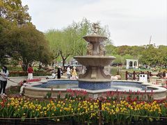 -上海鲜花港