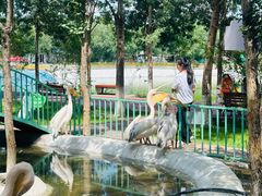 -水上乐园·欢乐世界