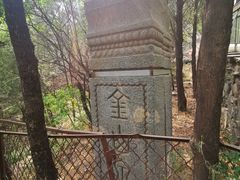 -阳台山自然风景区