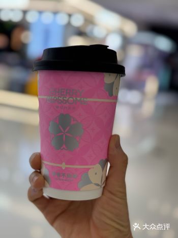 春天花会开——爷爷不泡茶樱花季来啦