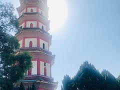-广州莲花山旅游区