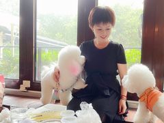 -the rug 飞毯 (朝阳公园店)