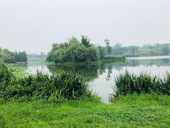 -白鹭湾湿地公园