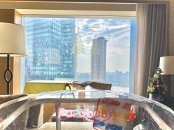 -巍阁高端月子会所