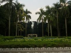 -中山大学学者灵芝(园南路店)