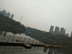 -重庆彩云湖湿地公园