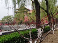 -吴记百姓菜馆·北京菜·烤鸭(故宫店)