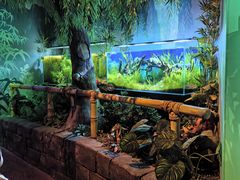 -沈阳海洋探索中心