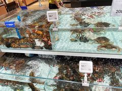 水产区-盒马鲜生(新都心店)
