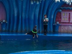 -华夏文旅海洋公园