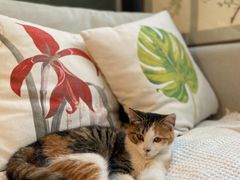 -厦门良筑精品酒店(厦门中山路店)