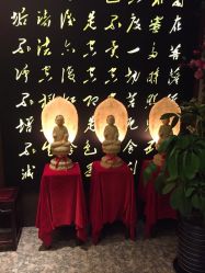 雅曼妮养生会馆(黄浦店)-雅曼妮