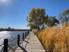 -野鸭湖国家湿地公园